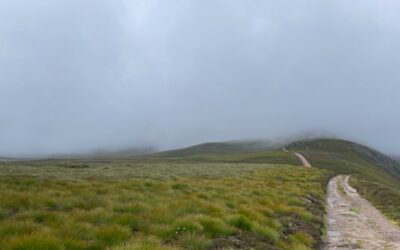 Weitergehen – Klarheit finden trotz Nebel und Unsicherheit